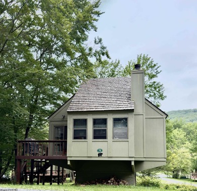 (private lake, pond, creek) Home For Sale in Davis West Virginia