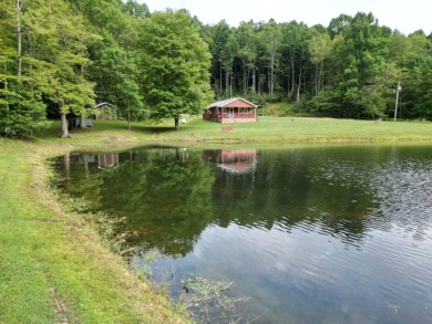 (private lake, pond, creek) Home For Sale in Rock Cave West Virginia