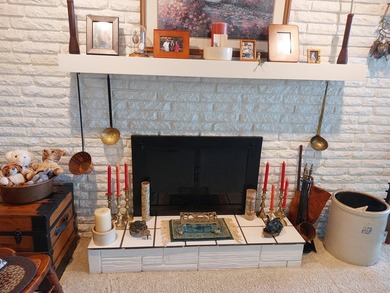 Perfect lakefront location on Eagle Lake in Edwardsburg! This - photo 27