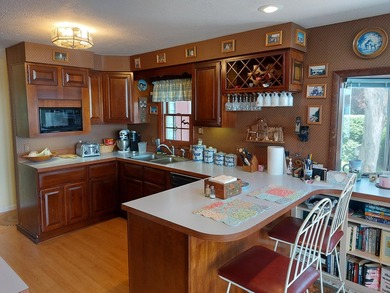 Perfect lakefront location on Eagle Lake in Edwardsburg! This - photo 29