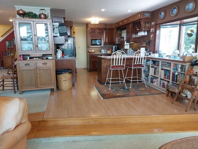 Perfect lakefront location on Eagle Lake in Edwardsburg! This - photo 35