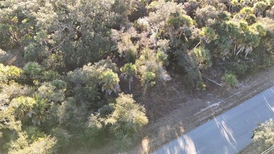 Vacant 0.23-acre residential lot located in North Port, FL. No - photo 10
