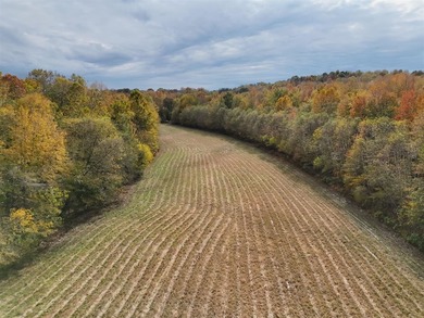(private lake, pond, creek) Acreage For Sale in Morgantown Kentucky