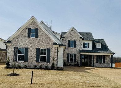 Lake Home For Sale in Arlington, Tennessee