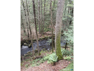 Tucked away in a peaceful wooded setting along the Blackledge - photo 37