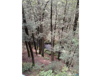Tucked away in a peaceful wooded setting along the Blackledge - photo 38