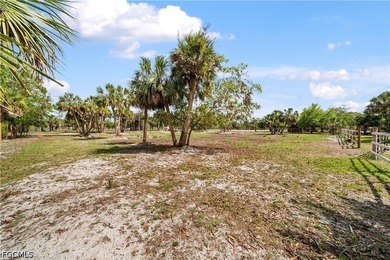 Welcome to a truly one-of-a-kind property that redefines what it - photo 41