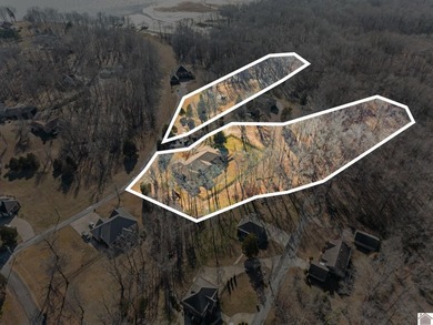 This stunning, sprawling ranch-style home with finished basement - photo 41