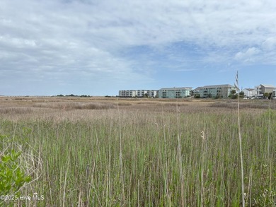 Make this lot yours and enjoy unobstructed marsh views. Bring - photo 3