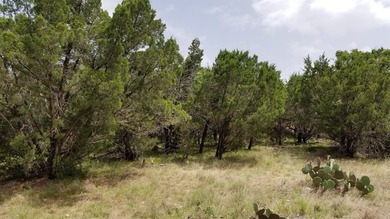 Vacant lot ready to build your dream home on! This lot was - photo 6