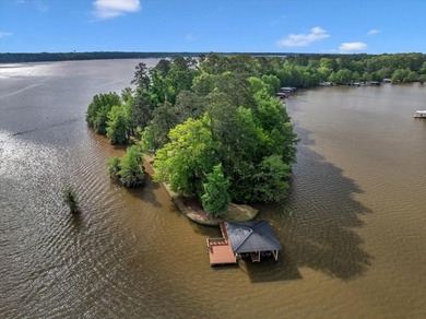 Lakefront Sanctuary on a Private Peninsula Nestled at the end of - photo 5