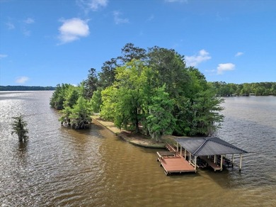 Lakefront Sanctuary on a Private Peninsula Nestled at the end of - photo 6