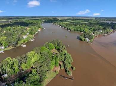 Lakefront Sanctuary on a Private Peninsula Nestled at the end of - photo 8