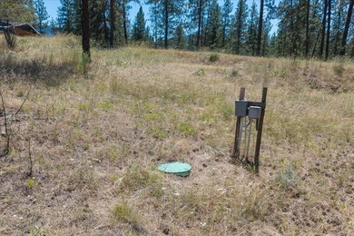 Rare opportunity to enjoy the best of Lake Roosevelt living with - photo 44