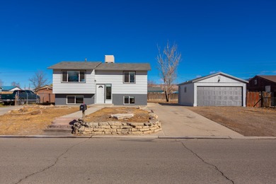 Colorado River Home For Sale in Clifton Colorado
