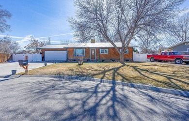 Colorado River Home Sale Pending in Grand Junction Colorado