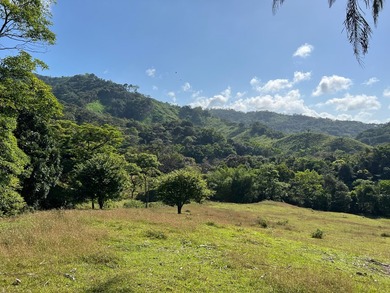 Large Scale Development Land in Chepo Panama 

Riverfront Land o - photo 11
