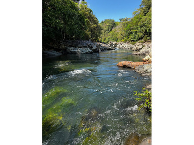 Large Scale Development Land in Chepo Panama 

Riverfront Land o - photo 14