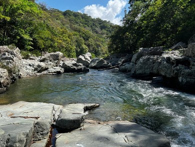 Large Scale Development Land in Chepo Panama 

Riverfront Land o - photo 16
