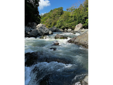 Large Scale Development Land in Chepo Panama 

Riverfront Land o - photo 17