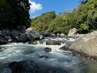 Large Scale Development Land in Chepo Panama 

Riverfront Land o - photo 18