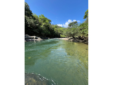 Large Scale Development Land in Chepo Panama 

Riverfront Land o - photo 20