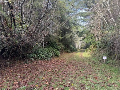 YOUR CHANCE TO OWN 6.7 +/- ACRES of Seclusion & Privacy just - photo 4