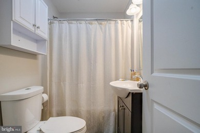 AGENTS - PLEASE VIEW AGENT REMARKS IN BRIGHT MLS. **Professional - photo 31