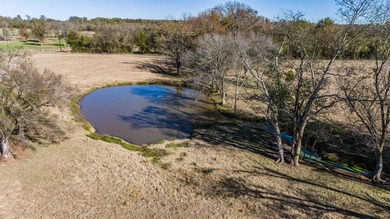 Beautiful 14.78-acre tract ready for your new home and country - photo 2