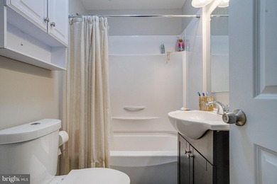 AGENTS - PLEASE VIEW AGENT REMARKS IN BRIGHT MLS. **Professional - photo 32