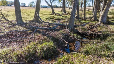 Beautiful 14.78-acre tract ready for your new home and country - photo 6