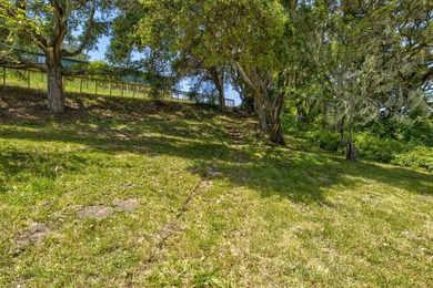 San Gregorio Creekside Farm. Nestled just 5 miles from the - photo 29