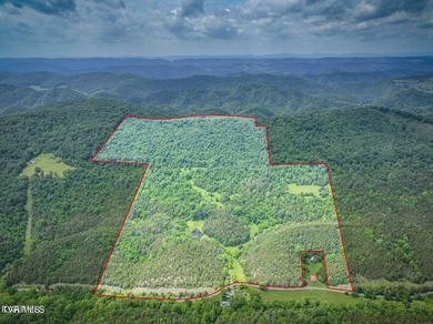 (private lake, pond, creek) Acreage For Sale in Eidson Tennessee