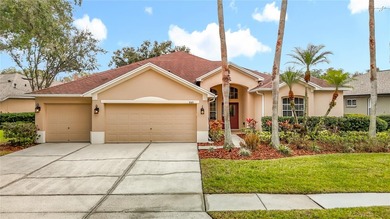(private lake, pond, coastal) Home For Sale in Tampa Florida