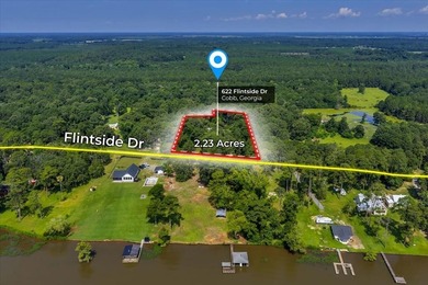See Lake Blackshear perfectly with Awesome Lake Views off - photo 1