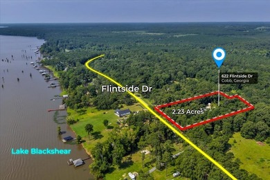 See Lake Blackshear perfectly with Awesome Lake Views off - photo 3