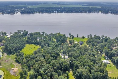 See Lake Blackshear perfectly with Awesome Lake Views off - photo 4