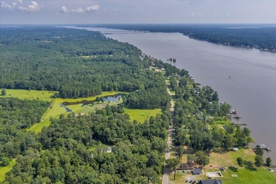 See Lake Blackshear perfectly with Awesome Lake Views off - photo 6