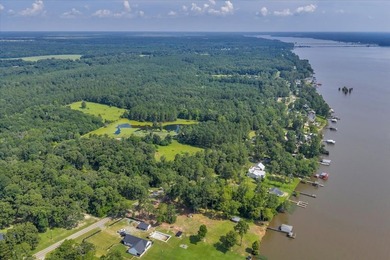See Lake Blackshear perfectly with Awesome Lake Views off - photo 7