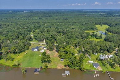 See Lake Blackshear perfectly with Awesome Lake Views off - photo 8