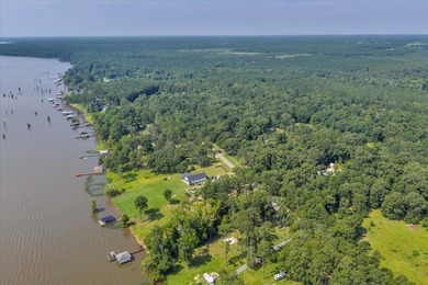See Lake Blackshear perfectly with Awesome Lake Views off - photo 9