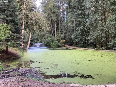 Peaceful living in Big Valley Woods Parks. Enjoy nature with its - photo 23