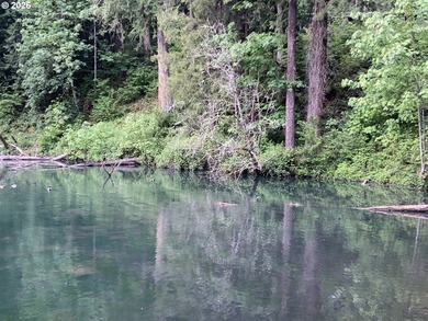 Peaceful living in Big Valley Woods Parks. Enjoy nature with its - photo 24