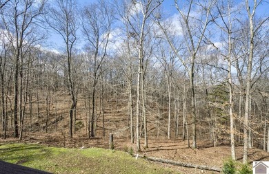 Experience lake living in this beautifully designed 4 bedroom, 3 - photo 28