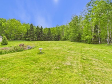 Built in 2005, that makes this 3 Bedroom/2 full bath home - photo 32