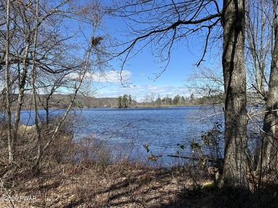 Pecks Pond Lakefront Cabin with views and access to Pecks Pond! - photo 2