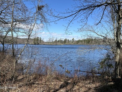 Pecks Pond Lakefront Cabin with views and access to Pecks Pond! - photo 3