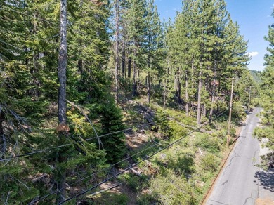 Have a look at this rare, large residential lot for sale at - photo 7