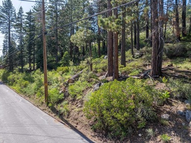 Have a look at this rare, large residential lot for sale at - photo 8