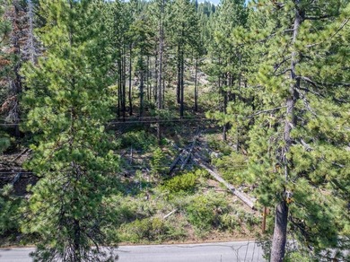 Have a look at this rare, large residential lot for sale at - photo 9